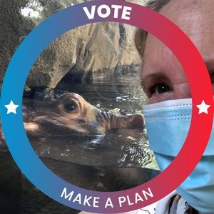 Meet your Posher, Suzanne